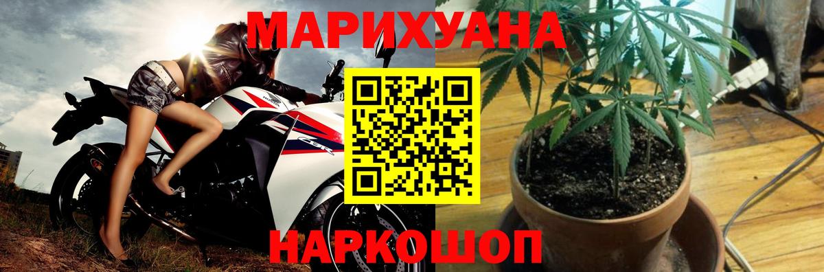 Бошки Шишки план Гусь-Хрустальный
